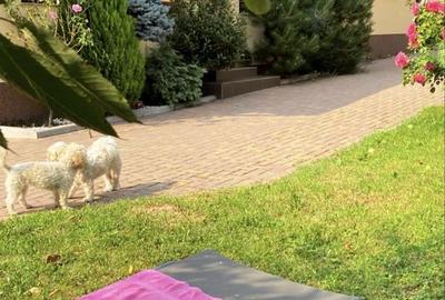 Casă cu 4 camere în Hidiș - 3