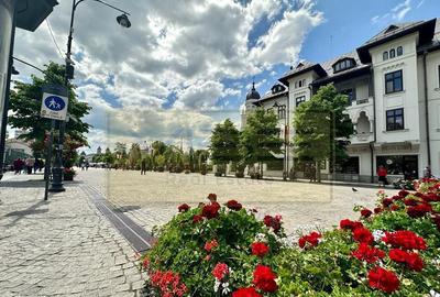 Business la Cheie PE PROFIT !!! Investitii ZERO ! - 3