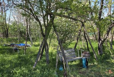 Teren agricol intravilan de 2050 mp, în Valea Măcrișului - 9