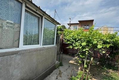 CASA DE VANZARE - INEL 1 - 3 CAMERE+ANEXE - - 6