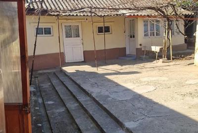 Casă cu 3 camere cu Teren 1352 Mp în Horia - 2