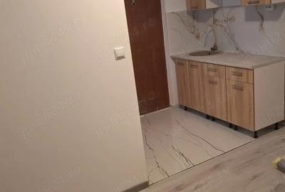 Proprietar Vand Camera camin - 2