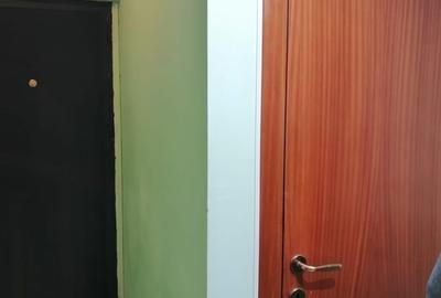 Giurgiului Piata Progresul Apartament 2 camere - 5