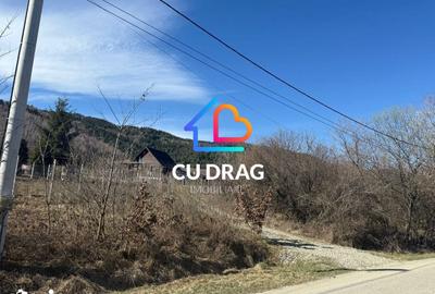 Teren de 1000 mp, în Central - 3