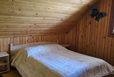 Cabana Lep?a, jud. Vrancea - Cheile Ti?i?ei - 10