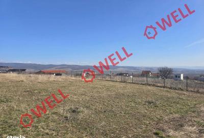 Spațiu comercial, în Calnic - 1