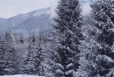 Studio cochet Predeal - mobilat, utilat, vedere superba! - 12