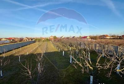 Casă cu 5 camere cu Garaj în Mădăras - 18