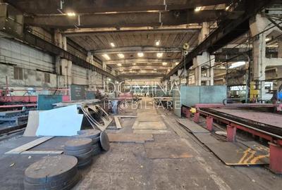 Inchiriere complex industrial versatil *hale - birouri - platforme betonate* - 3