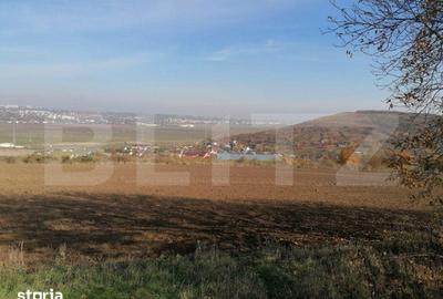 Teren de 5000 mp, în Miroslava - 3