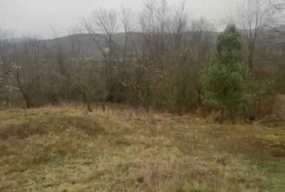 Casă cu 2 camere în Tisău - 4