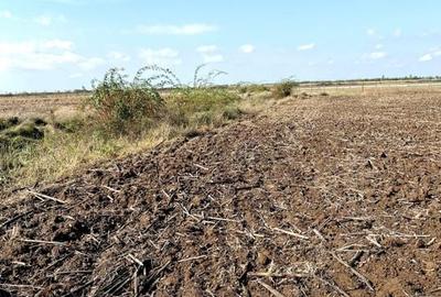 Teren pentru investitii zona Grigorescu - 3