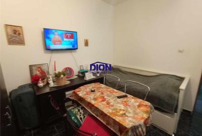 CASA CU POTENTIAL PARCUL CAROL - 11