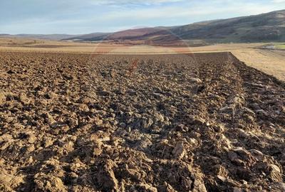 Teren agricol intravilan de 7200 mp, în Secuieni - 4