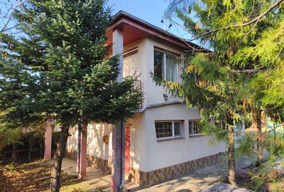 Casa P+1 Petrachioaia - 8