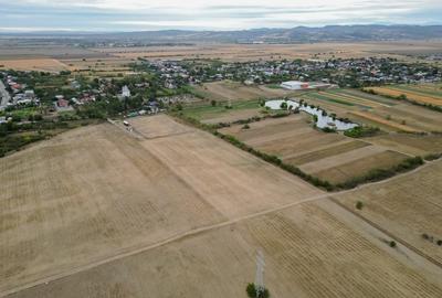 Teren intravilan 30.110 mp – Filipeștii de Târg, Prahova - 5