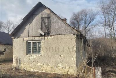 Casă individuală cu 2 camere cu Teren 2200 Mp în Făureni - 3