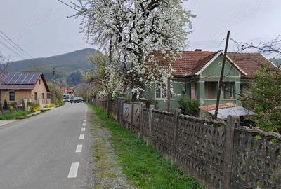 De vanzare doua case parinte?ti pe acela?i teren, in Ca?eiu, jud. Cluj De vanzare doua case parinte?ti pe acela?i teren, in Ca?eiu, jud. Cluj - 1