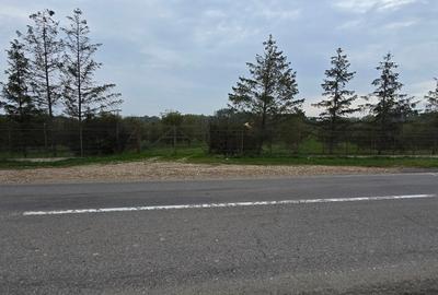 LIVADA  DE VANZARE FOCSANI-DUMBRAVITA  1,8  HA - 21