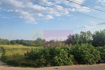 Se vinde teren 4200 mp in Teisori Giurgiu - 7