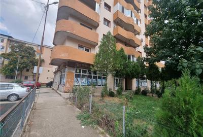 Spatii Comerciale Alexandria Str Dunarii - 12