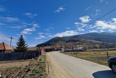 Teren de 1450 mp, în Gura Râului - 4