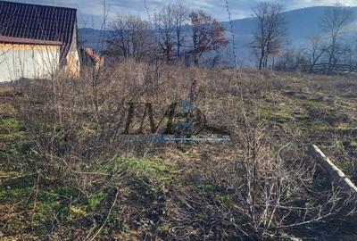 Teren Construcții intravilan de 1116 mp, în Pianu de Sus - 1