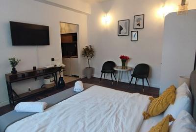 Apartament cu 3 camere decomandat în Ultracentral - 4