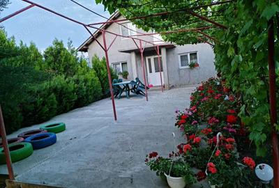 Casă cu 4 camere cu Teren 4300 Mp în Chirnogi - 1