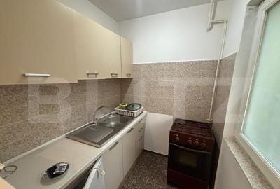 Apartament de vanzare, 28 mp, zona Dacia - 3
