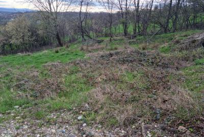 Teren Intravilan | Constructii | 734 mp | Baia Mare | Strada Miron Costin - 5