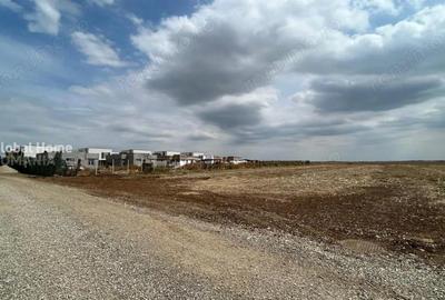 Teren de 2500 mp, în Balotești - 2