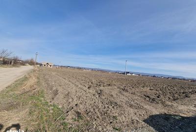 Teren de 710 mp, în Calea Bârladului - 2