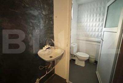 Casă cu 4 camere cu Teren 462 Mp în Brestei - 14