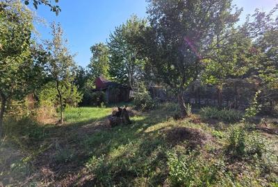 Teren construibil pentru vila sau proiect de tip rezidential - 2