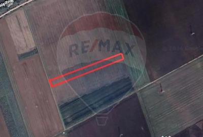 Teren în Hărman - 1