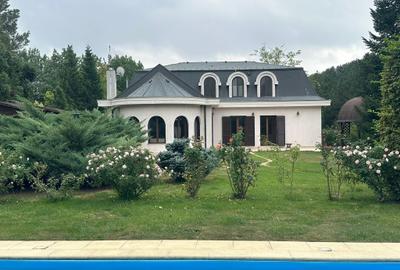 VILA CU IZ PROVENSAL  CU TEREN GENEROS SI PISCINA EXTERIOARA INCALZITA - 51