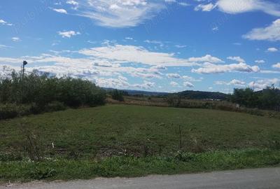 Teren de 2500 mp, în Măgura - 7