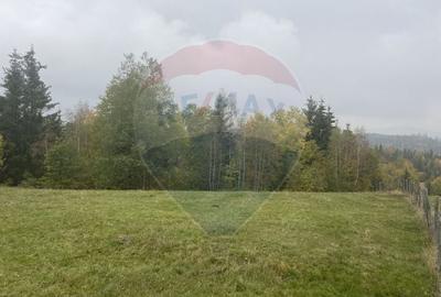 Teren Construcții intravilan de 8119 mp, în Călățele - 19