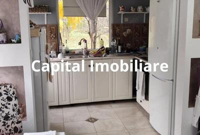 Casa Baicoi 95 mp Sc, 2578 mp teren - 16