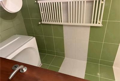 Garsonieră semidecomandată în Craiovei - 10