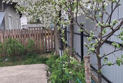 Casă cu Teren 1600 Mp în Burla - 3
