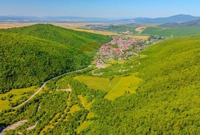 Teren 128.000 mp-Sacele-zona Garcini/ Intravilan - 7