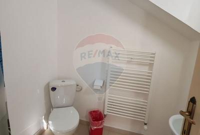 Hotel/Pensiune, de 270 mp, în Baia de Fier - 22