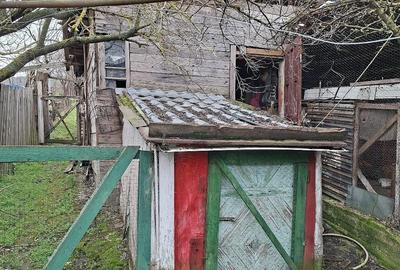 Casă cu 2 camere cu Teren 890 Mp în Podari - 4
