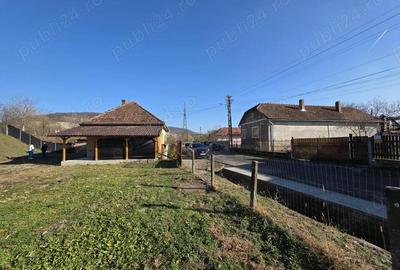 Vand casa Mintia Hunedoara - 2