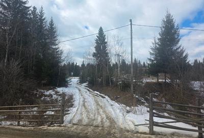 Teren intravilan de 15000 mp, în Gura Haitii - 6