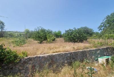 MAHMUDIA-TERENURI SI CASE - 17