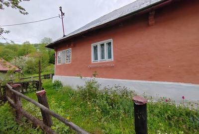 Casă cu 2 camere în Central - 3
