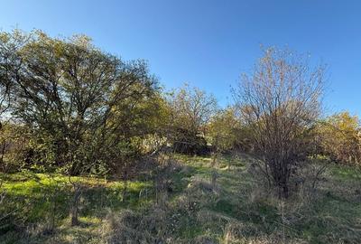 REL4001212 Teren I De Vanzare I Snagov - 5